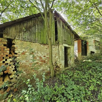 Dům v ovocné zahradě.