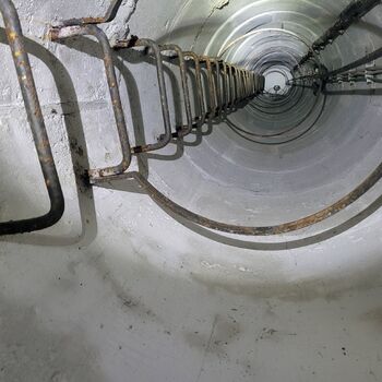 Ein Welpe mit Rüssel