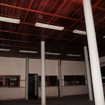 Die Dämmerung von Eleanor