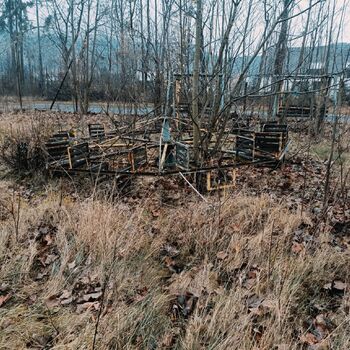 Former recreation centre 🏚️🌲🌲