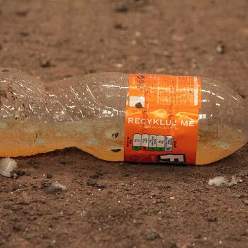 Pískové hospodářství, aneb příliš dlouhá swingers párty