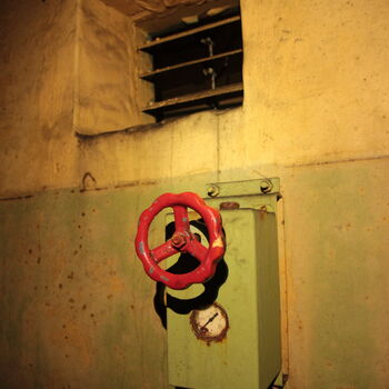 Maple 52 with swimming pool