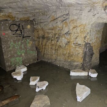 Dole v šachtě? Dole v šachtě?