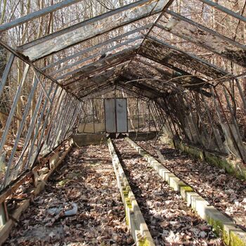 Gartenarbeit ab 1940