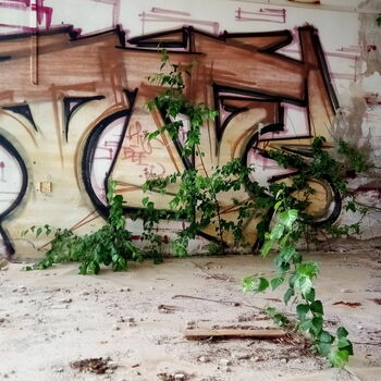 sgrafity dekorace sgrafity dekorace