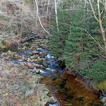 Water treatment plant 2022