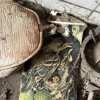 Abandoned Farmer's house