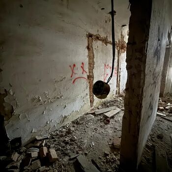 Aunt Omega, or I Believe in Fairies