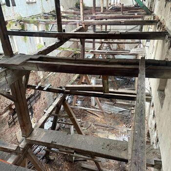 Kde holubi chodí pěšky