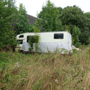 Už asi nevyjedou...