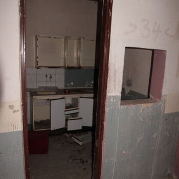 VEGA Group VEGA Group