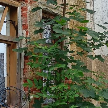 pivovar - koukni na video..