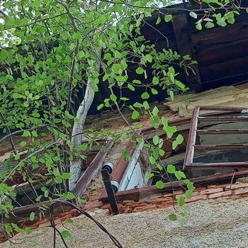 pivovar - koukni na video..