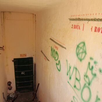 VEGA Group VEGA Group