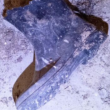 sheepfold - dead animals