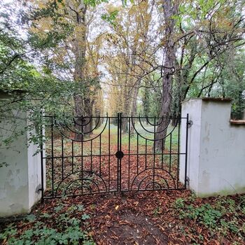 Old Jewish cemetery Old Jewish cemetery