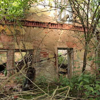 Brewery from the creator of the Golden Chapel