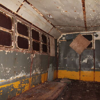 Maple 52 with swimming pool