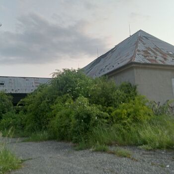 Aus diesem Grund mag ich keine Obdachlosen.