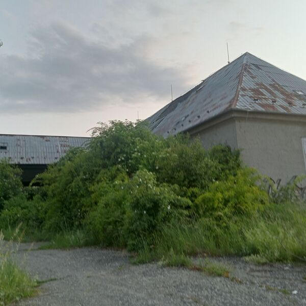 I don't like homeless people for this reason.