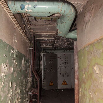 Maple 52 with swimming pool