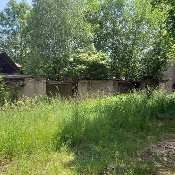 Hospitality at the trabanta