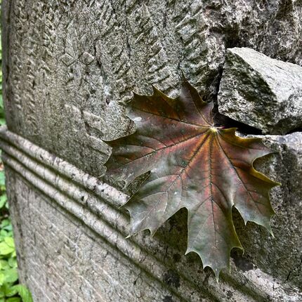 Židovský hřbitov🪦 Židovský hřbitov🪦