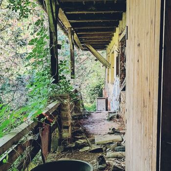 House of a murdered senior citizen 🖤💀