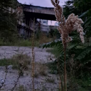 Abandoned Factory