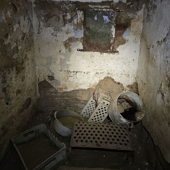 Dům v ovocné zahradě.