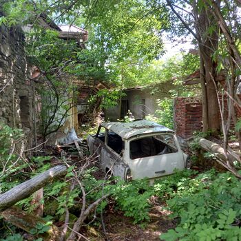 Hospitality at the trabanta