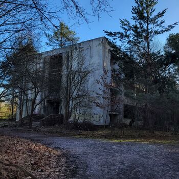 Military Space Green 2024