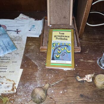 Hotel in Hungary_2023