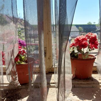 Dieses kleine Haus hat es schon seit ein paar