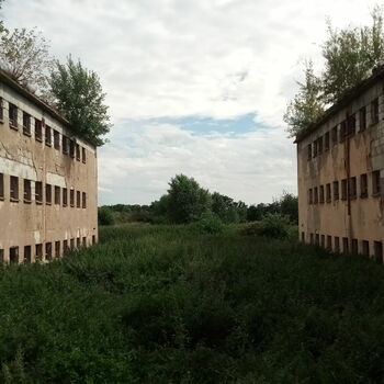 budova škola struktura budova škola struktura