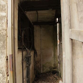 Pepper 2023 Pepper 2023