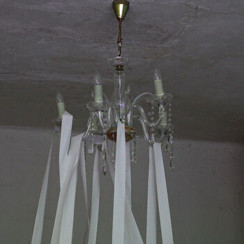 Schimmel für das Mittagessen