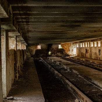 Landwirtschaftliche Fläche