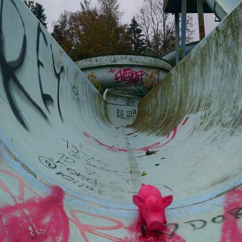 Swimming pool with an awesome water slide 2020