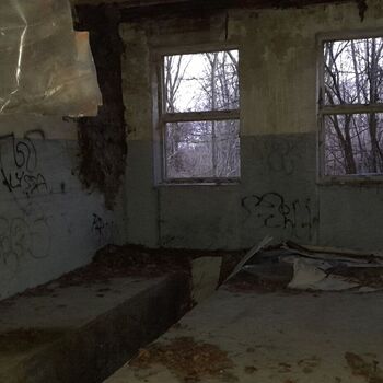 Calf (2025) Calf (2025)