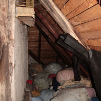 Rieger's Villa Rieger's Villa