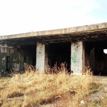 Abandoned cowshed and small abandoned plot 2021