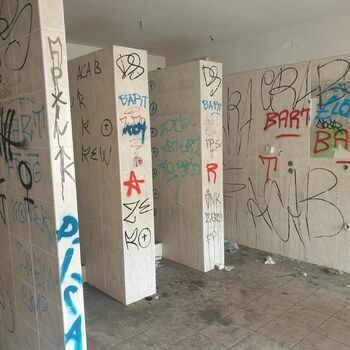 box carton container