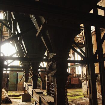 Pískové hospodářství, aneb příliš dlouhá swingers párty