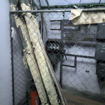 Ein Welpe mit Rüssel