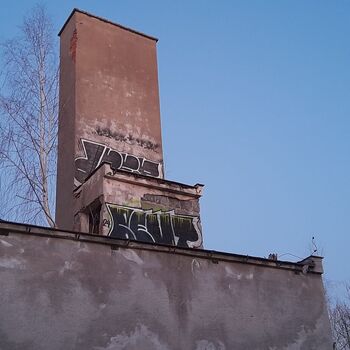 Calf (2025) Calf (2025)