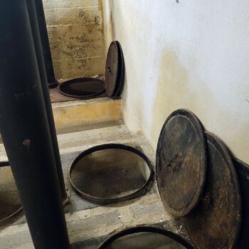 Štolák u velkého dubu.