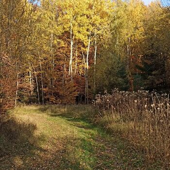 Former Infantry Ammunition Depot 2022 Former Infantry Ammunition Depot 2022