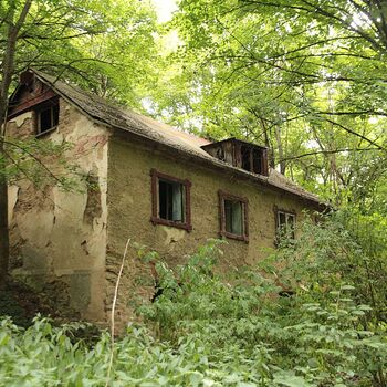 Mill from Snake river