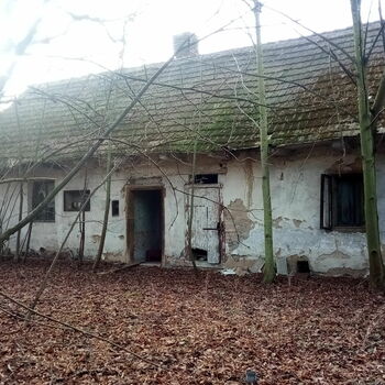 došky střecha ochranný kryt krytí dům